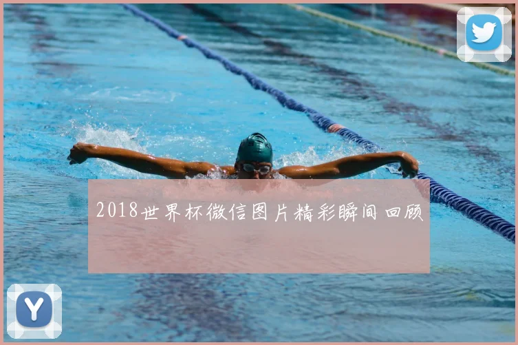 2018世界杯微信图片精彩瞬间回顾