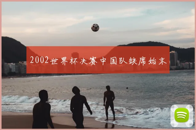 2002世界杯决赛中国队缺席始末