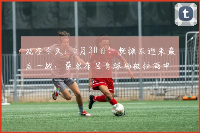 就在今天,5月30日!樊振东迎来最后一战,萨尔布吕肯球场被拉满中文横幅