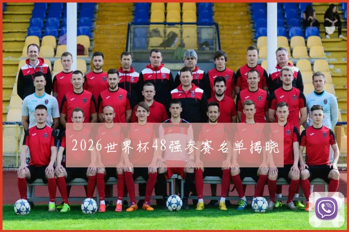 2026世界杯48强参赛名单揭晓