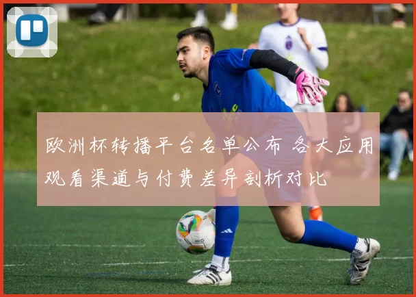 欧洲杯转播平台名单公布 各大应用观看渠道与付费差异剖析对比