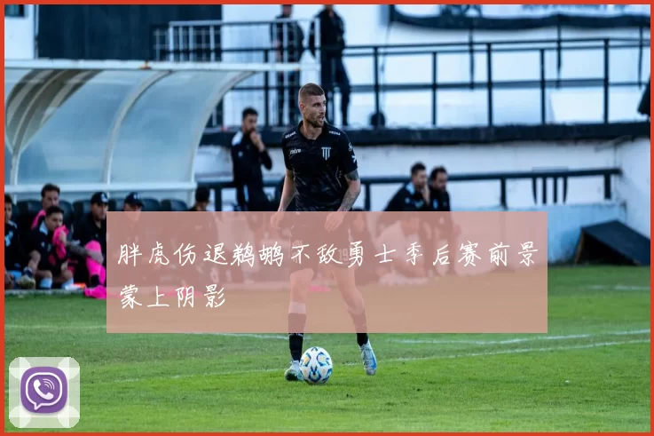 胖虎伤退鹈鹕不敌勇士季后赛前景蒙上阴影