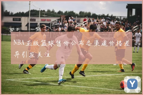NBA正版篮球售价公布各渠道价格差异引发关注