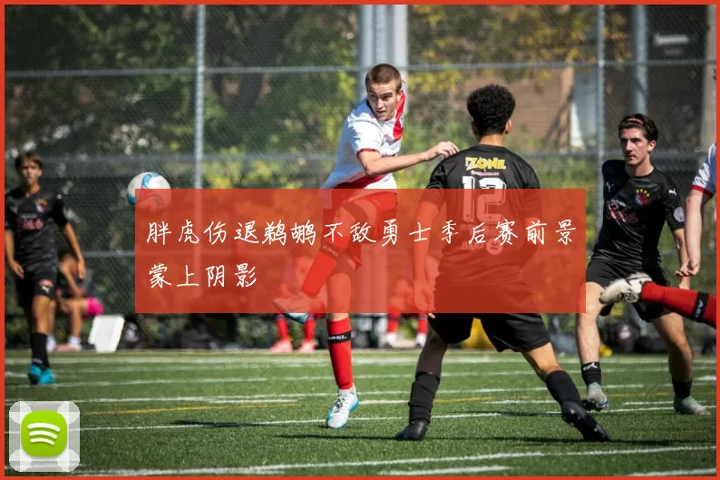 胖虎伤退鹈鹕不敌勇士季后赛前景蒙上阴影