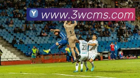 多媒体互动体验